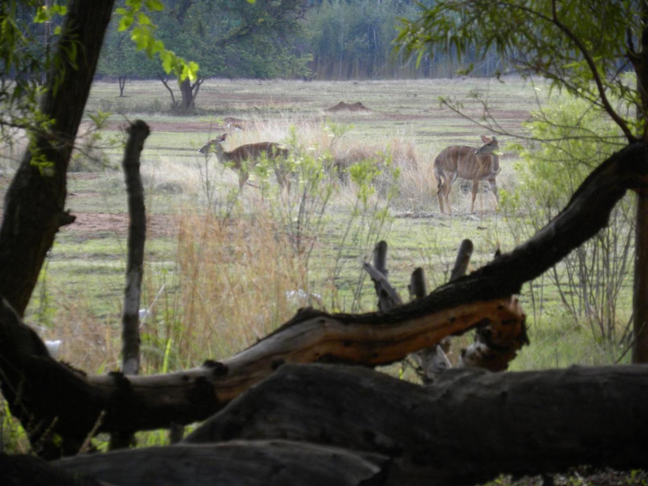 Harties Is Africa Safari Lodge Kosmos Exterior photo