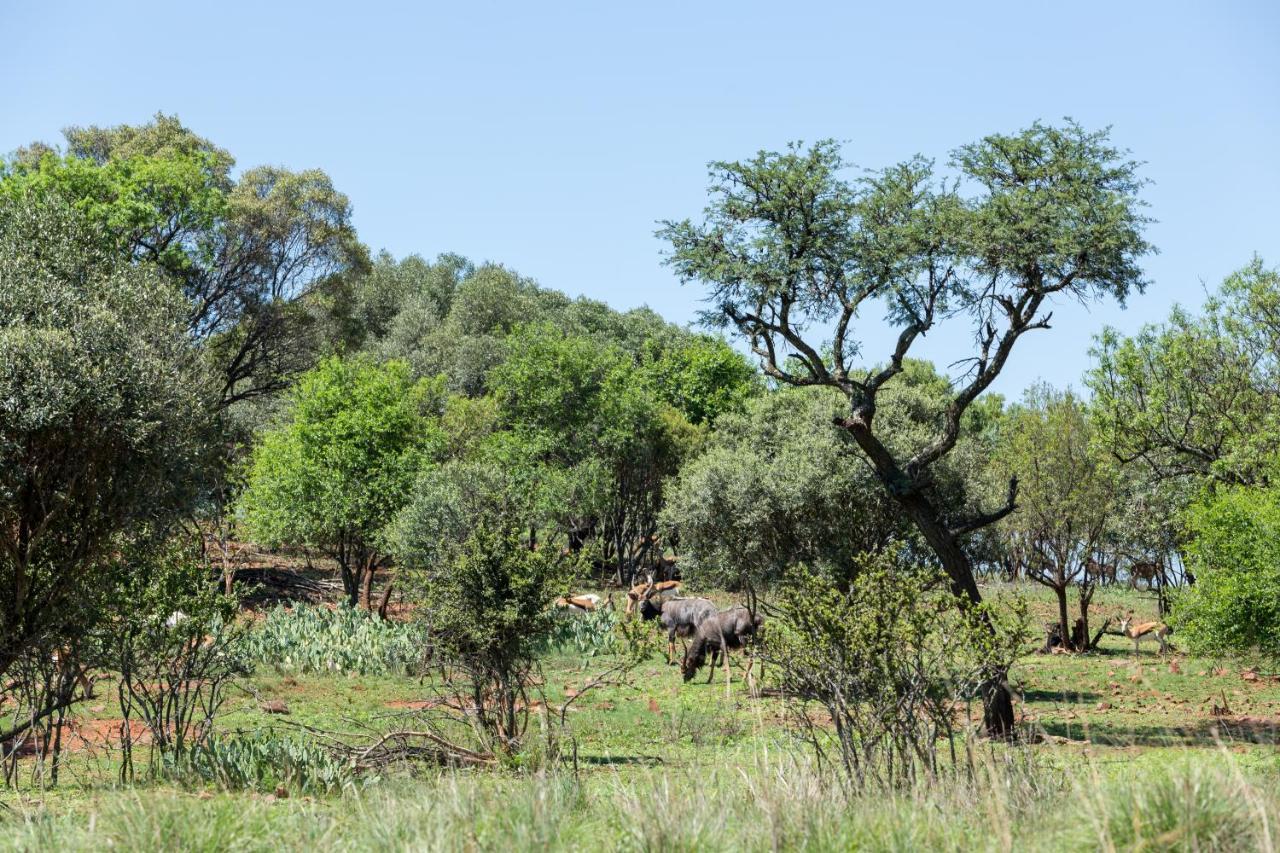 Harties Is Africa Safari Lodge Kosmos Exterior photo